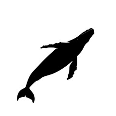 a black and white silhouette of a humpback whale black, silhouette, water, whale , Generative art.