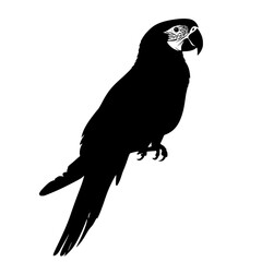 a black and white silhouette of a parrot bird, black, parrot, silhouette , Generative art.