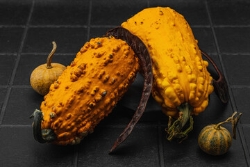 Organic ornamental pumpkins with textured skin and cut slices on dark background. Natural concept