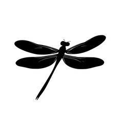 a black silhouette of a dragonfly on a white background black, dragonfly, insect, silhouette, wing , Generative art.