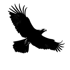 a black silhouette of an eagle flying in the air bird, black, eagle, flight, fly, silhouette, wing , Generative art.