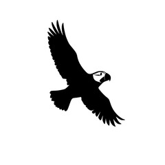 a black silhouette of an eagle or parrot flying in the air bird, black, eagle, flight, fly, parrot, silhouette, wing , Generative art.