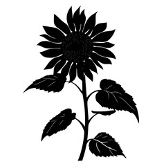 Fototapeta premium a black and white silhouette of a sunflower black, flower, silhouette, sunflower, white , Generative art.