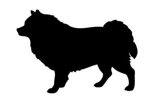 Pomeranian dog black silhouette pna and svg