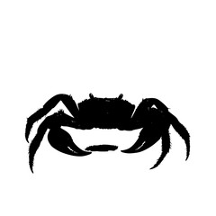 a black silhouette of a crab on a white background black, crab, silhouette , Generative art.