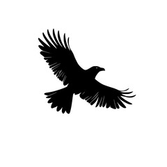 Obraz premium the black silhouette of a crow in flight with wings spread bird, black, crow, flight, fly, raven, silhouette, wing , Generative art.