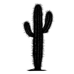 a black and white illustration of a cactus black, cactus, illustration, silhouette , Generative art.