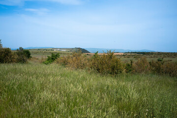Plateau du Larzac, causse du Larzac, parc naturel régional des Grands Causses, 12, Aveyron, France