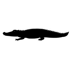 Obraz premium a black silhouette of an alligator on a white background alligator, black, crocodile, silhouette