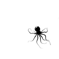 a black octopus on a white background black, octopus, silhouette