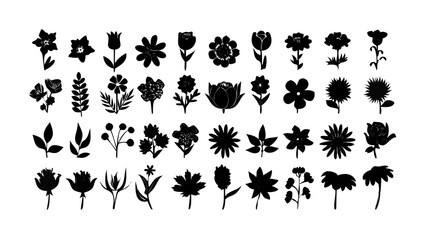 Flower and botanical icon set &ndash; vector glyph pictograms