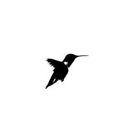 a black and white silhouette of a small bird flying in the sky bird, black, flight, fly, hummingbird, silhouette, sky, small, wing