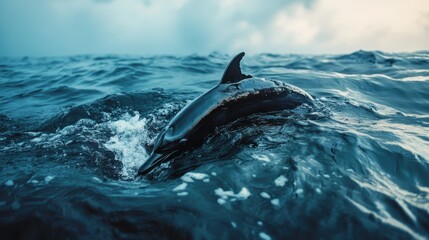 Fototapeta premium Dolphin Swimming in Ocean with Waves Under Dramatic Sky, Captured in Stunning Detail, Showcasing Nature's Beauty and Marine Life Serenity