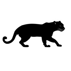 a black silhouette of a cat on a white background black, cat, leopard, silhouette