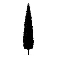 a black silhouette of a tree on a white background black, silhouette, tree 