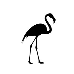 Obraz premium a silhouette of a pink flamingo standing on its hind legs black, flamingo, icon, leg, pink, silhouette, stand 