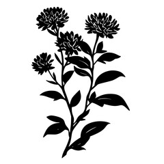 a black silhouette of a plant with flowers on a white background black, branch, flower, illustration, plant, silhouette