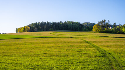 A tranquil spring evening landscape showcases expansive green fields under a clear blue sky. Lush trees line the horizon, creating a serene backdrop for a peaceful outdoor setting.