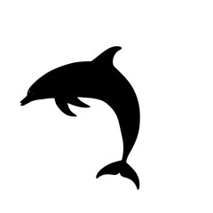 Fototapeta premium a black silhouette of a dolphin jumping out of the water black, dolphin, icon, jump, silhouette, water