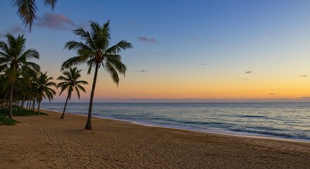 Fototapeta premium Beautiful tropical beach scene with palm trees at sunrise or sunset with calm water