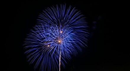 Spectacular Blue Fireworks Exploding in the Night Sky Celebration