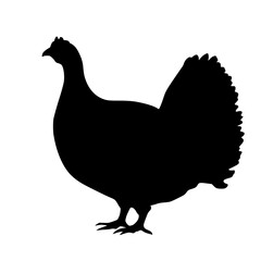 a black silhouette of a chicken on a white background black, chicken, hen, silhouette, turkey , Generative art.