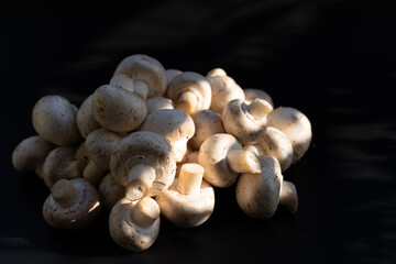 Fresh white mushrooms stacked together, displaying their natural texture and shape, illuminated by soft light in a kitchen setting