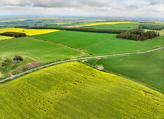 Fototapeta premium agricultural fields with blooming rape seed at the sottish border near Oxnam, Scotland, UK