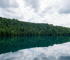 Serene Lake with Forest Reflection