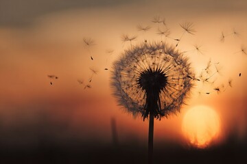 Dandelion silhouette against a vibrant sunset sky with seeds dispersing in the warm evening air near a glowing sun.