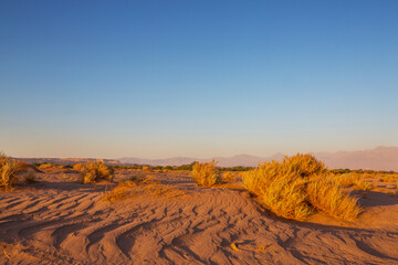 Atacama desert
