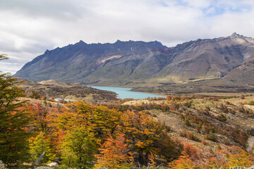 Autumn in Patagonia