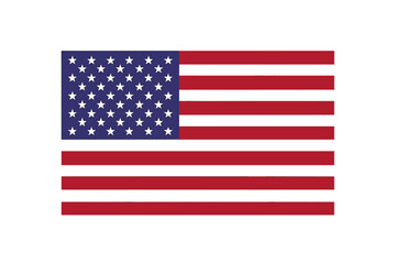 Vector illustration of the united states of america flag icon isolated on white background