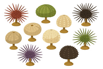 Sea urchin collection on stands cartoon vector, varied spines, colors, and shells, isolated on white background