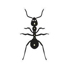 Minimalist black ant silhouette