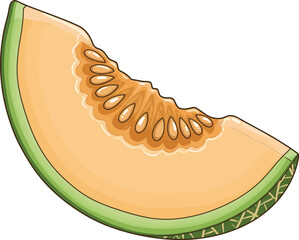 Cartoon Cantaloupe Slice Clipart – Fresh Melon Fruit Illustration with Seeds for Kids, Summer, and Healthy Food Designs

