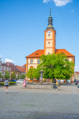 Bright day at Susice where locals and tourists gather around the historic Town Hall, enjoying the lush green tree and vibrant atmosphere of the main square in Czechia.