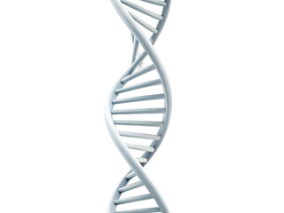 DNA helix model png genetic model png DNA structure png biology model png science model png molecular biology model png spiral DNA png transparent background image