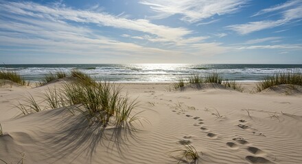 Tranquil coastal scene with sand dunes, footprints, and the serene ocean under a bright sky