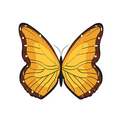 Butterfly yellow isolated on white background. Butterflies Insects Lepidoptera Morpho amathonte