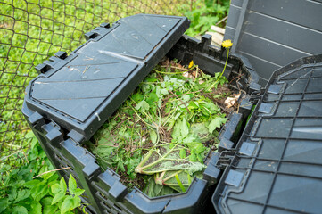 Top view open compost bin for organic waste in house. Inside it food waste and various plants from plot, weeds