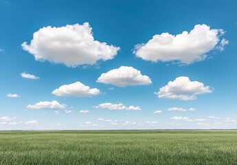 Fototapeta premium Expansive Blue Sky with Fluffy White Clouds Over Lush Green Field on a Clear Day, Perfect for Nature and Landscape Photography