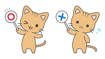 〇×クイズ猫セット