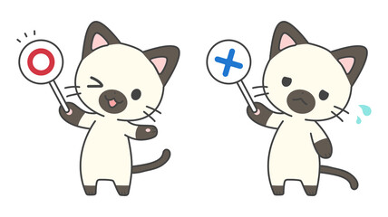 〇×クイズ猫セット