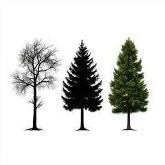 Set of Three Black Vector Silhouettes of Different Trees Ideal for Nature and Landscape Design Projects