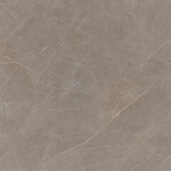Light taupe stone surface with subtle veining