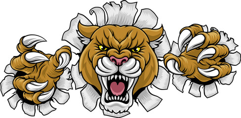 Cougar, panther, mountain lion or puma wildcat cat sports team mascot