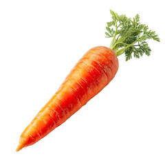 Fresh Orange Carrot with Green Tops Isolated on Black Background, isolated on transparent background, perfect cutout, PNG