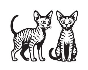 Obraz premium Black and white vector illustration of two devon rex cats sitting together, perfect for pet store designs, veterinary logos and cat lover art.