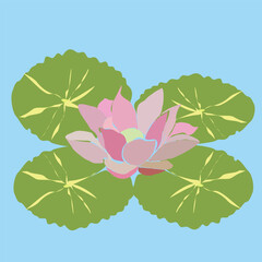 Vector aesthetic natural flat floral ornament for decoration, wall hanging, wrapping paper, textile, interior